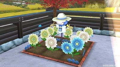 畑 新しいタネから咲くガーベラの花たち ひづきのもっさりドラクエ10ブログ