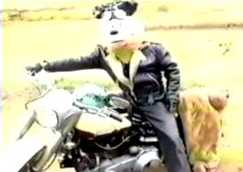 BLANKEY JET CITY 「C.B.Jim」 : A CITY OF BLANKEY TO BE JET