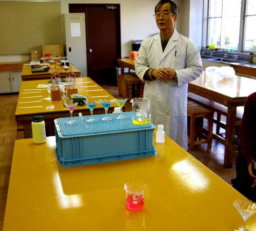 葉の緑色を分けるクロマトグラフィー 葉脈標本作り タラヨウの葉で手紙を書く 小学校理科教材ヒント