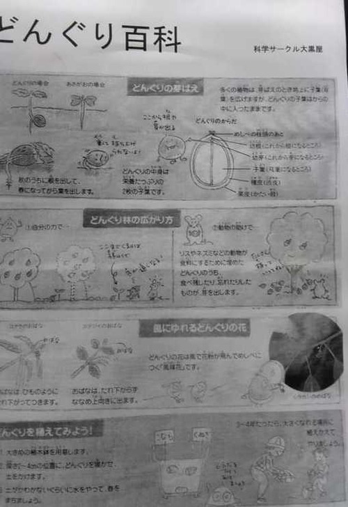 48376144_2699492526856325_7645558089193619456_n