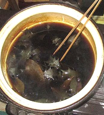 葉脈標本づくり 小学校理科教材ヒント 葉脈標本づくり 小学校理科教材ヒント