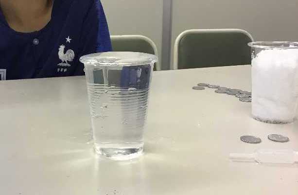 表面張力実験 一円玉浮かしと楊子舟 小学校理科教材ヒント 表面張力実験 一円玉浮かしと楊子舟 小学校理科教材ヒント