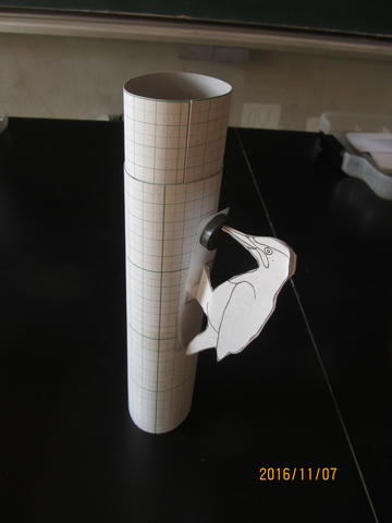 工作クラブ 磁石工作キツツキ君 小６ 小学校理科教材ヒント