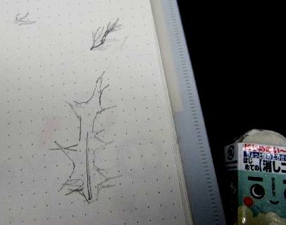 アザミの観察スケッチと簡単顕微鏡工作 小学校理科教材ヒント