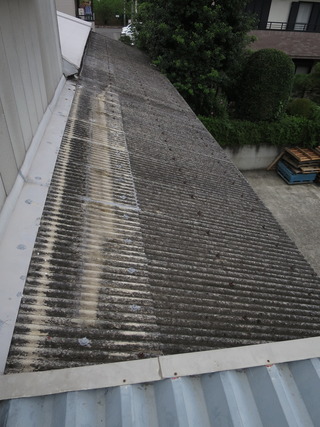 00IMG_7664