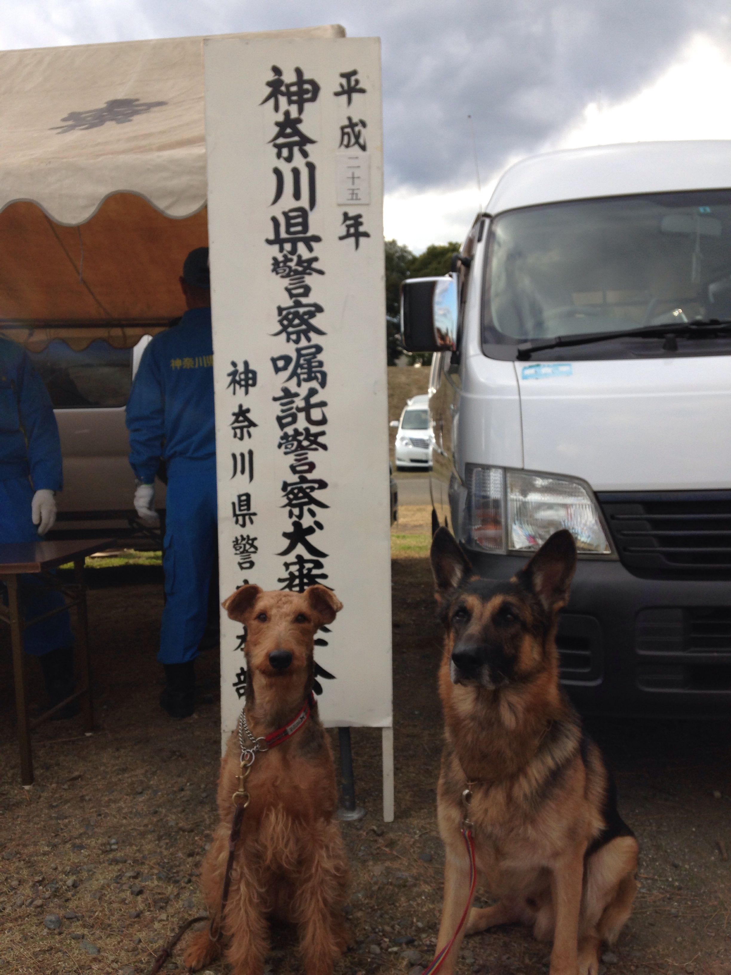 神奈川県警察嘱託犬審査会 ドッグスクール永吉 神奈川県警察嘱託犬審査会 ドッグスクール永吉