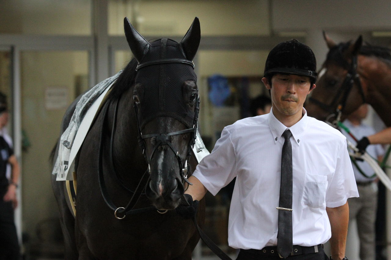 16年09月 東京優駿を勝つまで