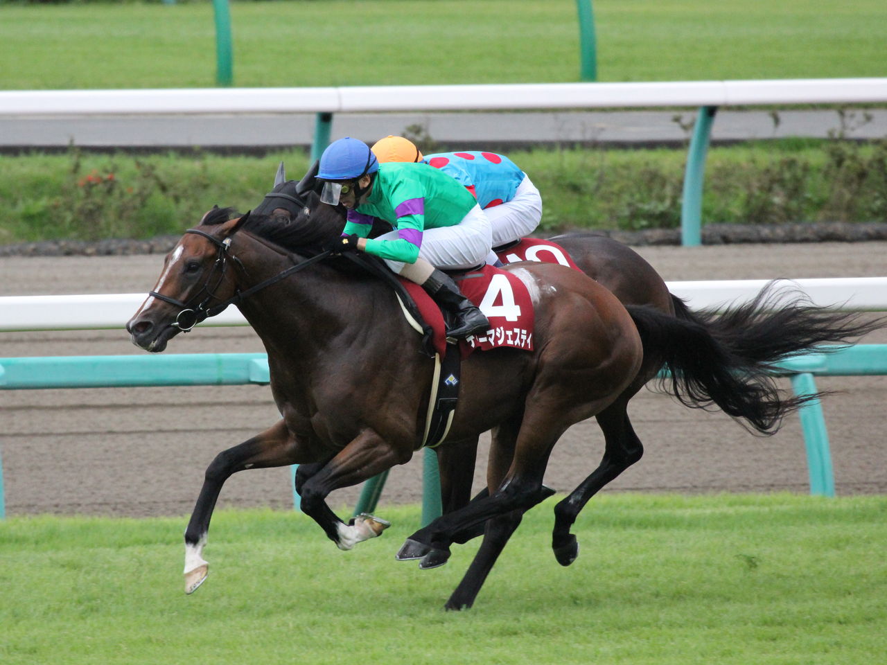 16年09月 東京優駿を勝つまで