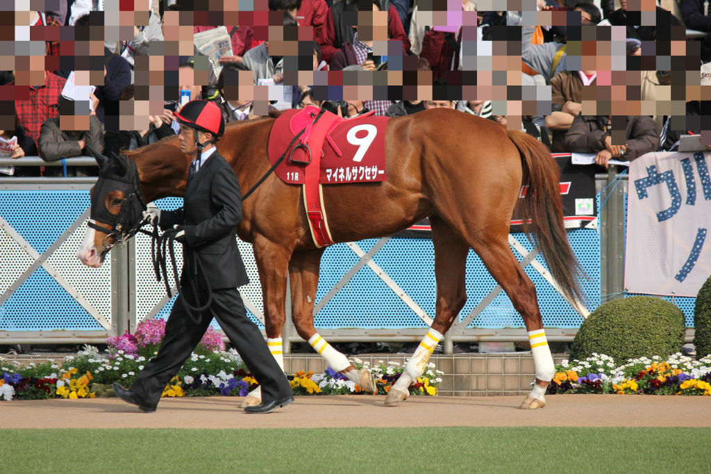 スプリングs フォトパドック 3月22日 東京優駿を勝つまで