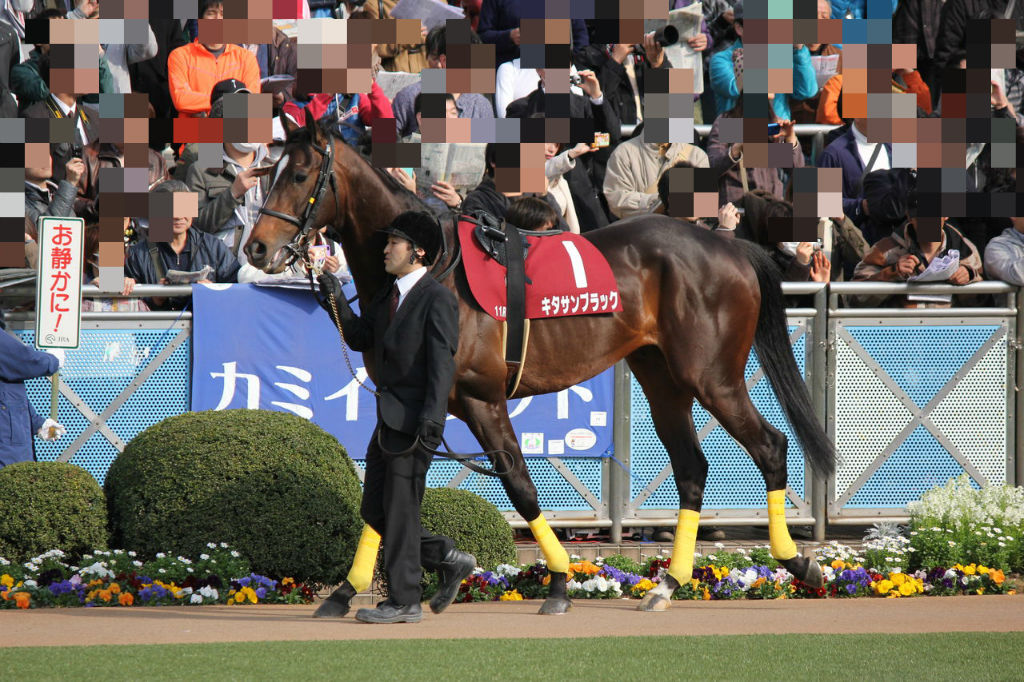 スプリングs フォトパドック 3月22日 東京優駿を勝つまで