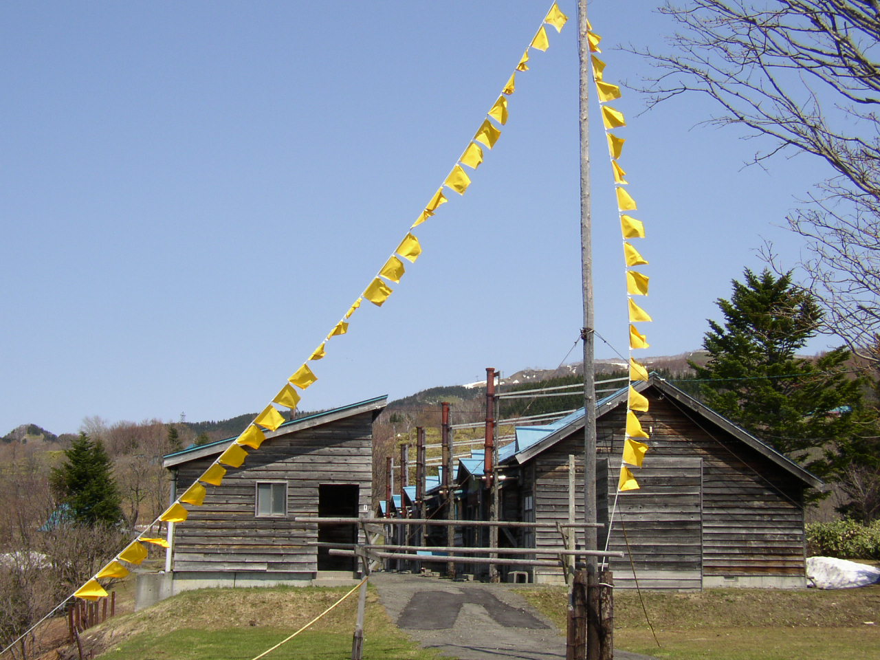黄色い世界 幸福の黄色いハンカチ 中年とオブジェ