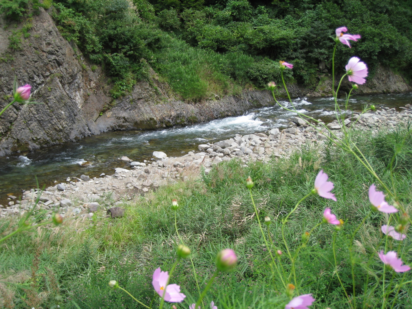 大地の芸術祭09 里山の風景 アートプロジェクトの未来 中年とオブジェ
