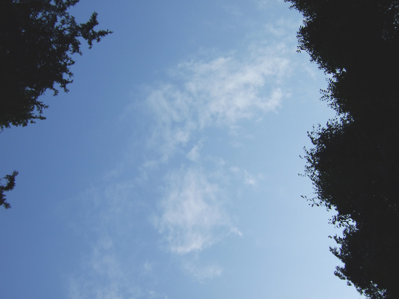 02f479be.jpg