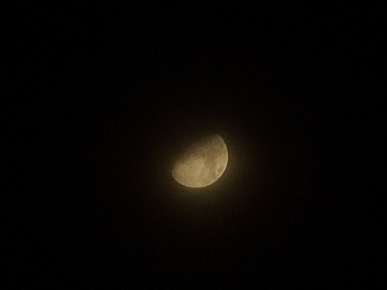 088f767d.jpg