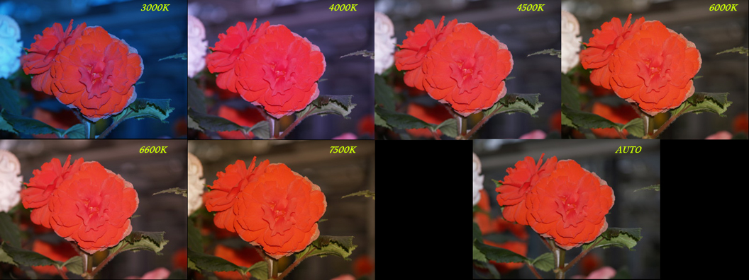 0ef584b7.jpg