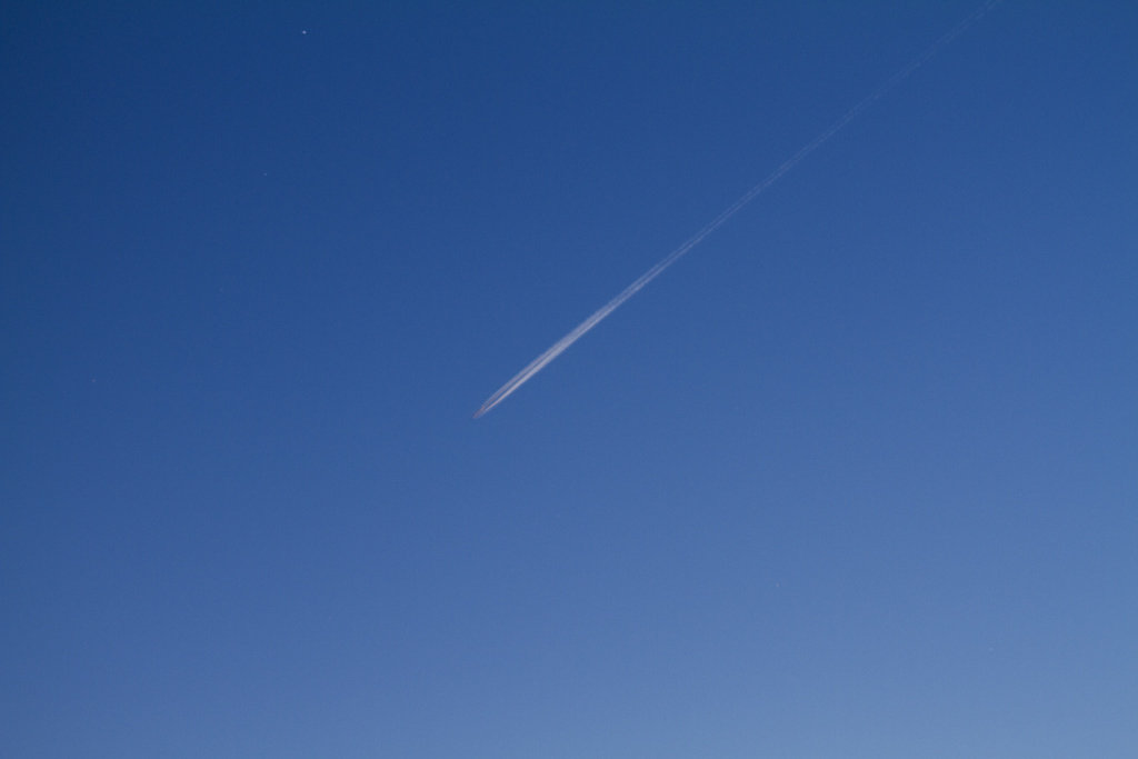 0f842919.jpg