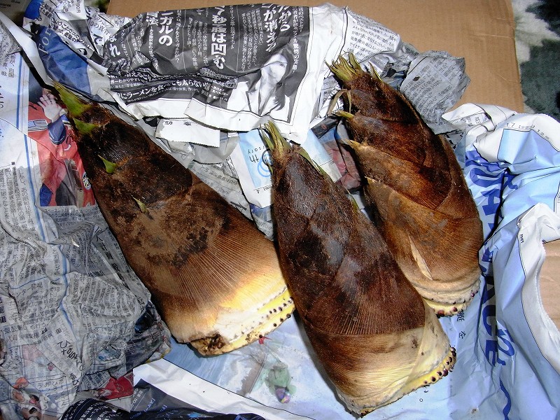 164830f0.jpg