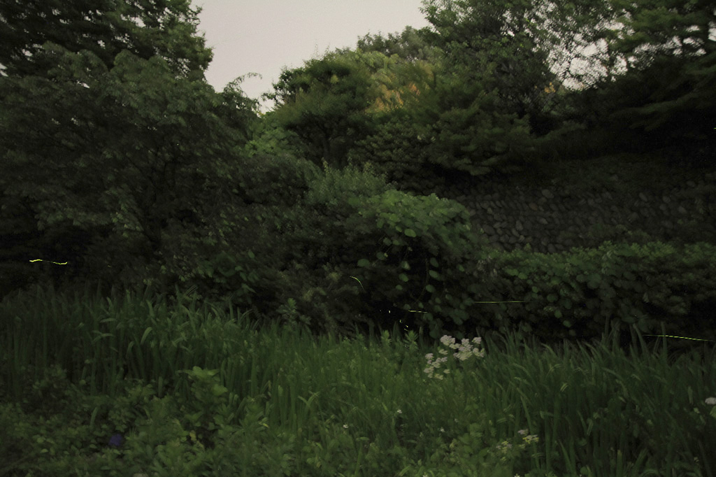 199c93be.jpg
