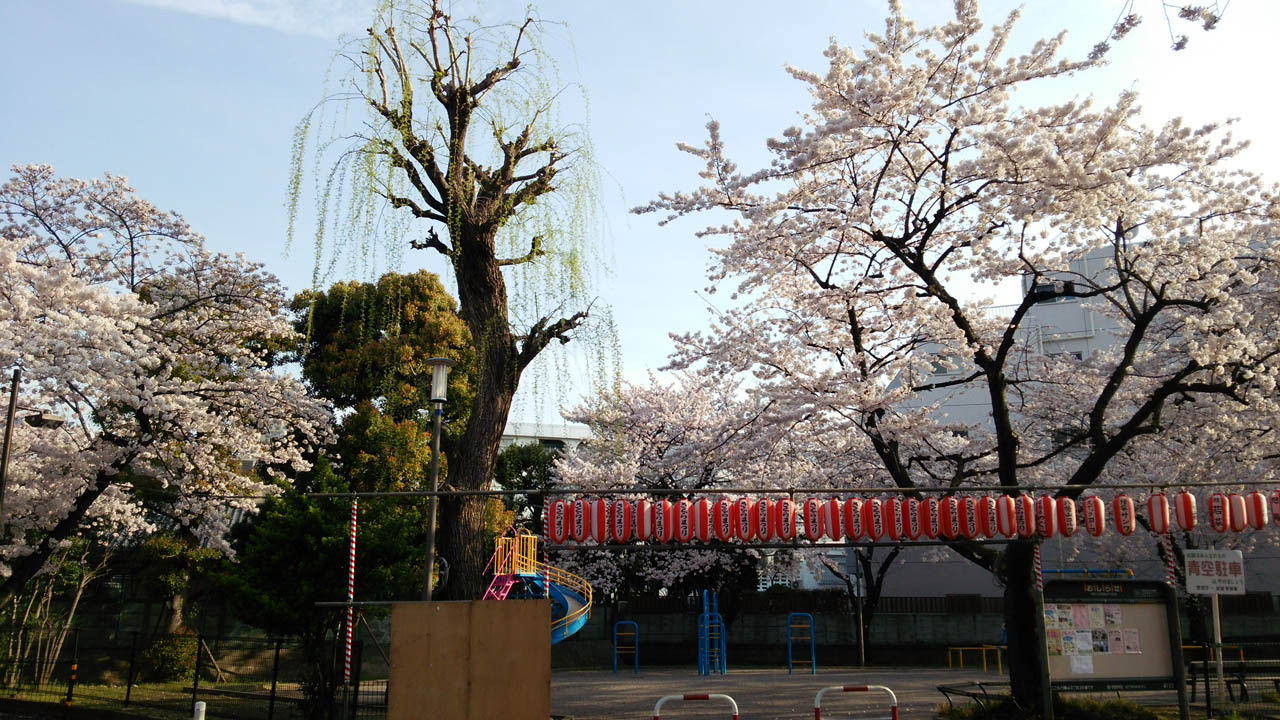 1d780c61.jpg
