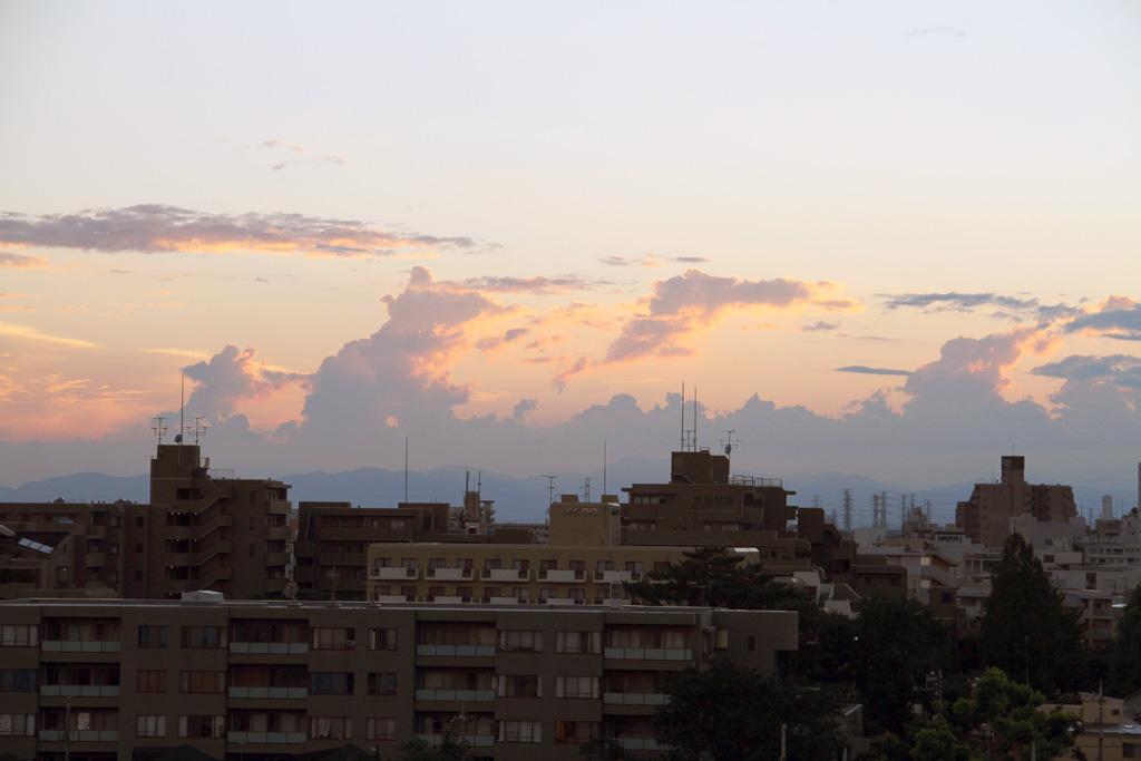 1eca9539.jpg
