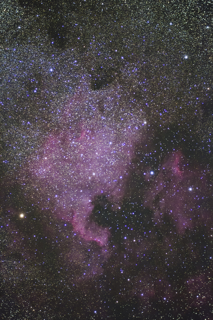 3179388e.jpg