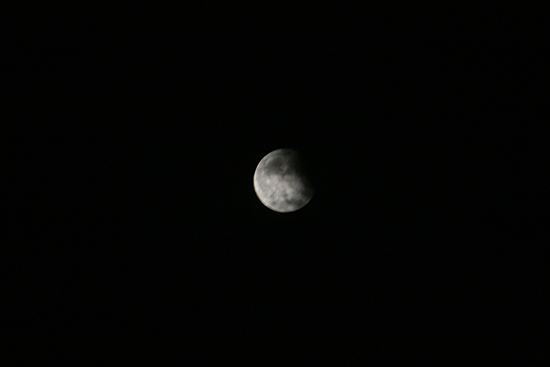 33402083.jpg