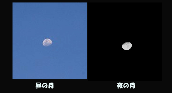 390c00a5.jpg