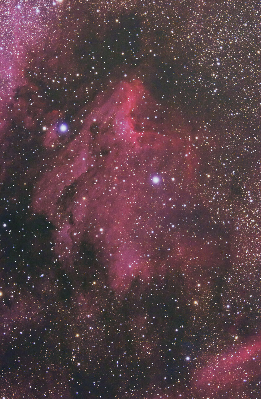 463f26c8.jpg