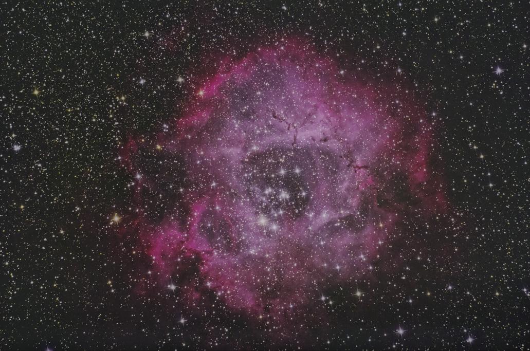 519021e2.jpg