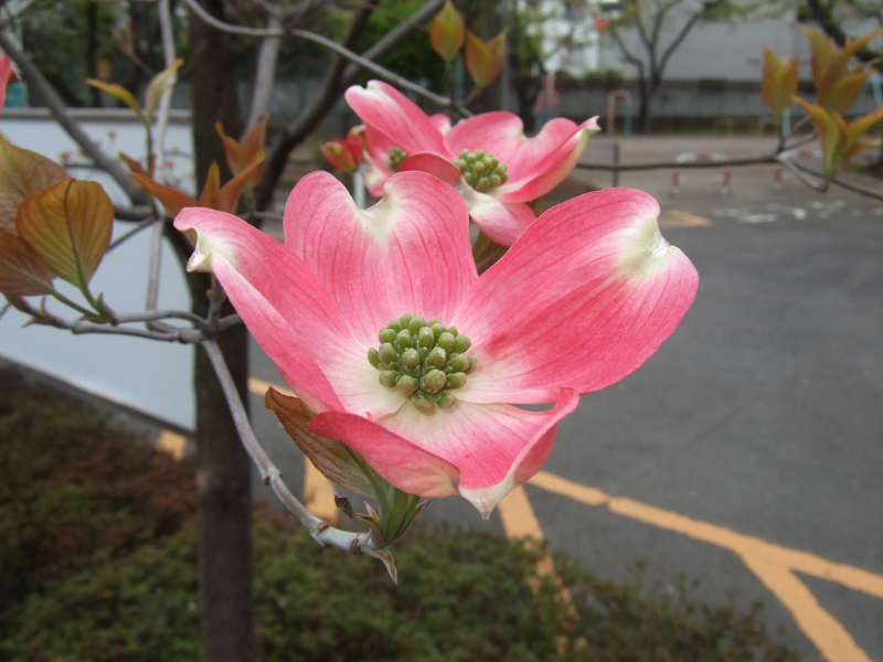 610f9172.jpg