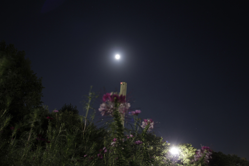 65efa85f.jpg