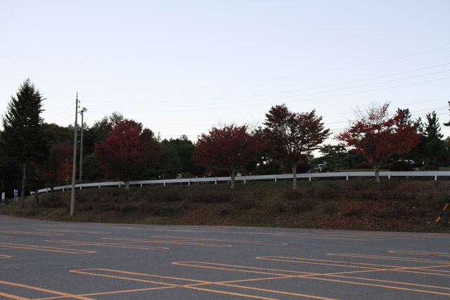 68f8e336.jpg