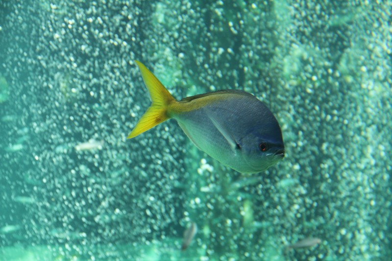6d5676cf.jpg