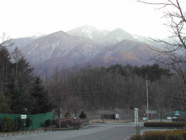 6f23f9d4.jpg