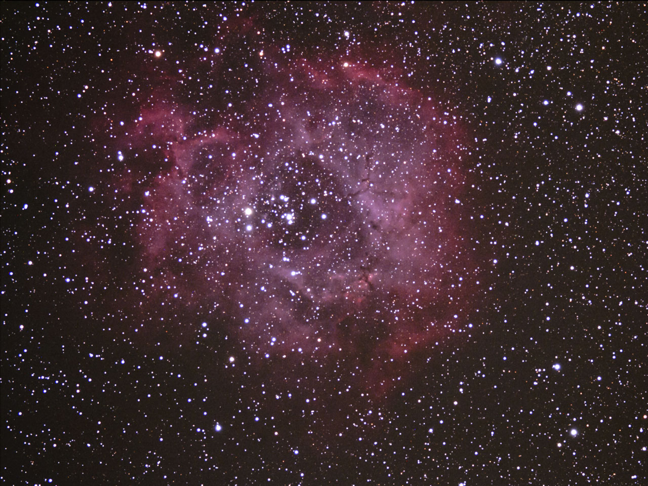 729d317a.jpg