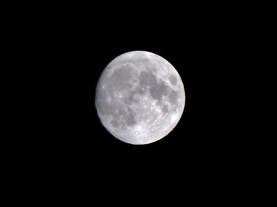761a368d.jpg