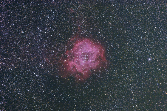7739c8c4.jpg