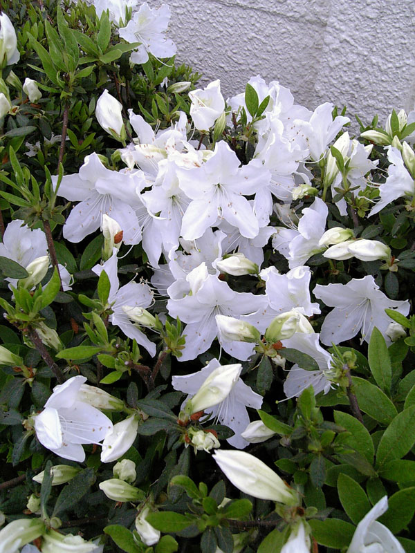 78619d9d.jpg