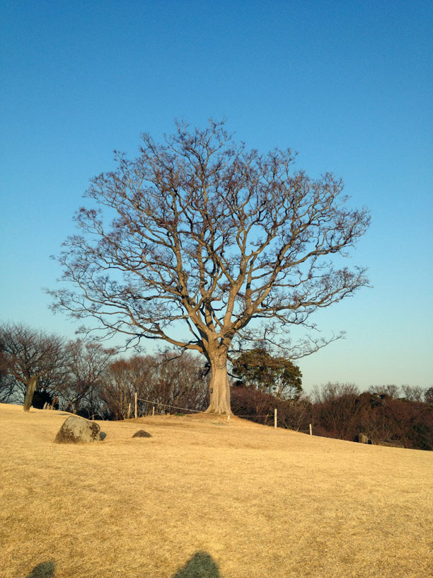 7d11a3db.jpg