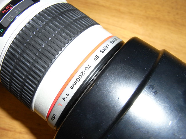 81fc1b6f.jpg