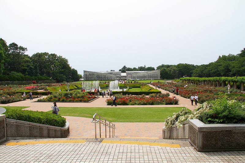 85359cad.jpg