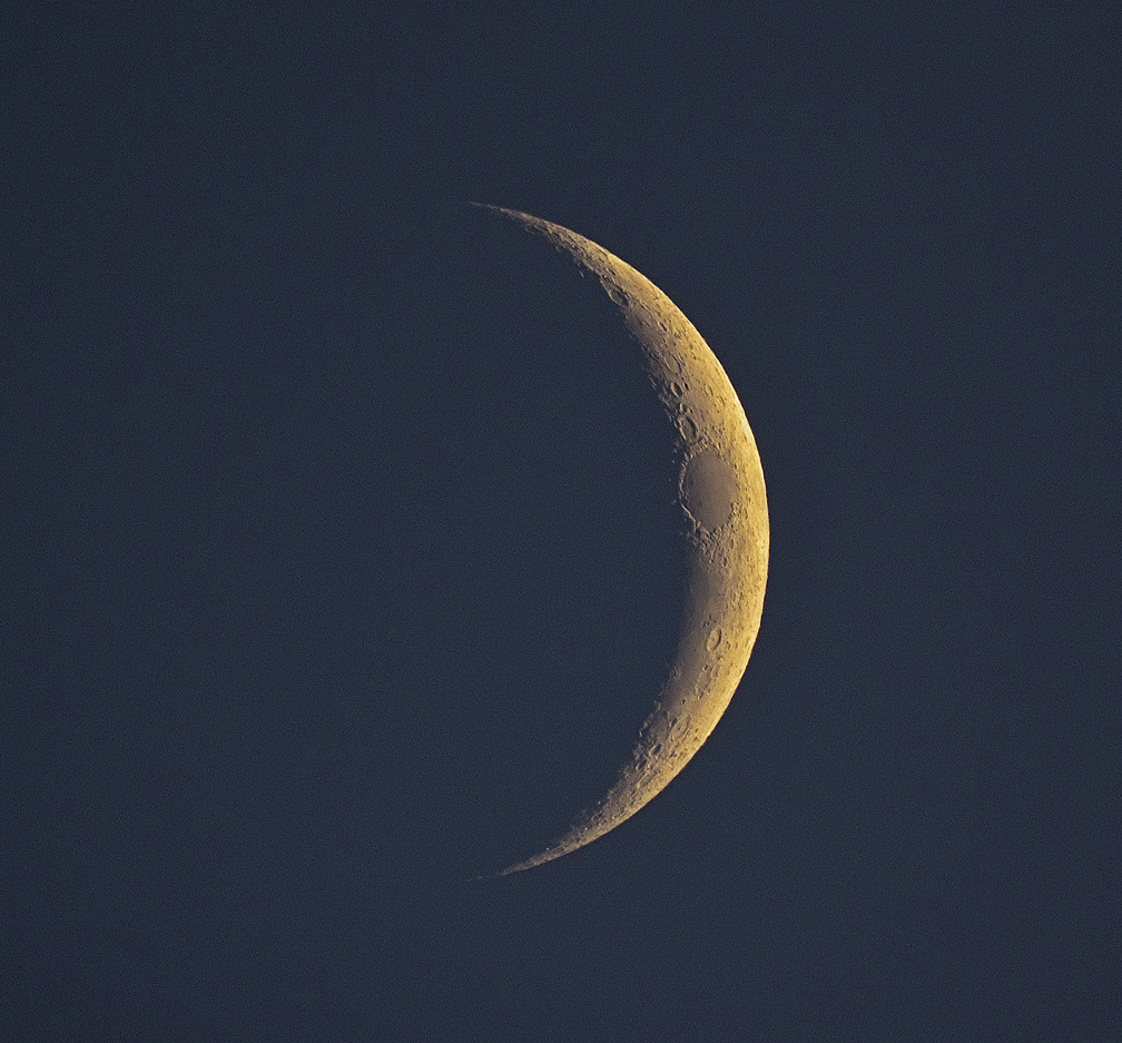 943c7935.jpg
