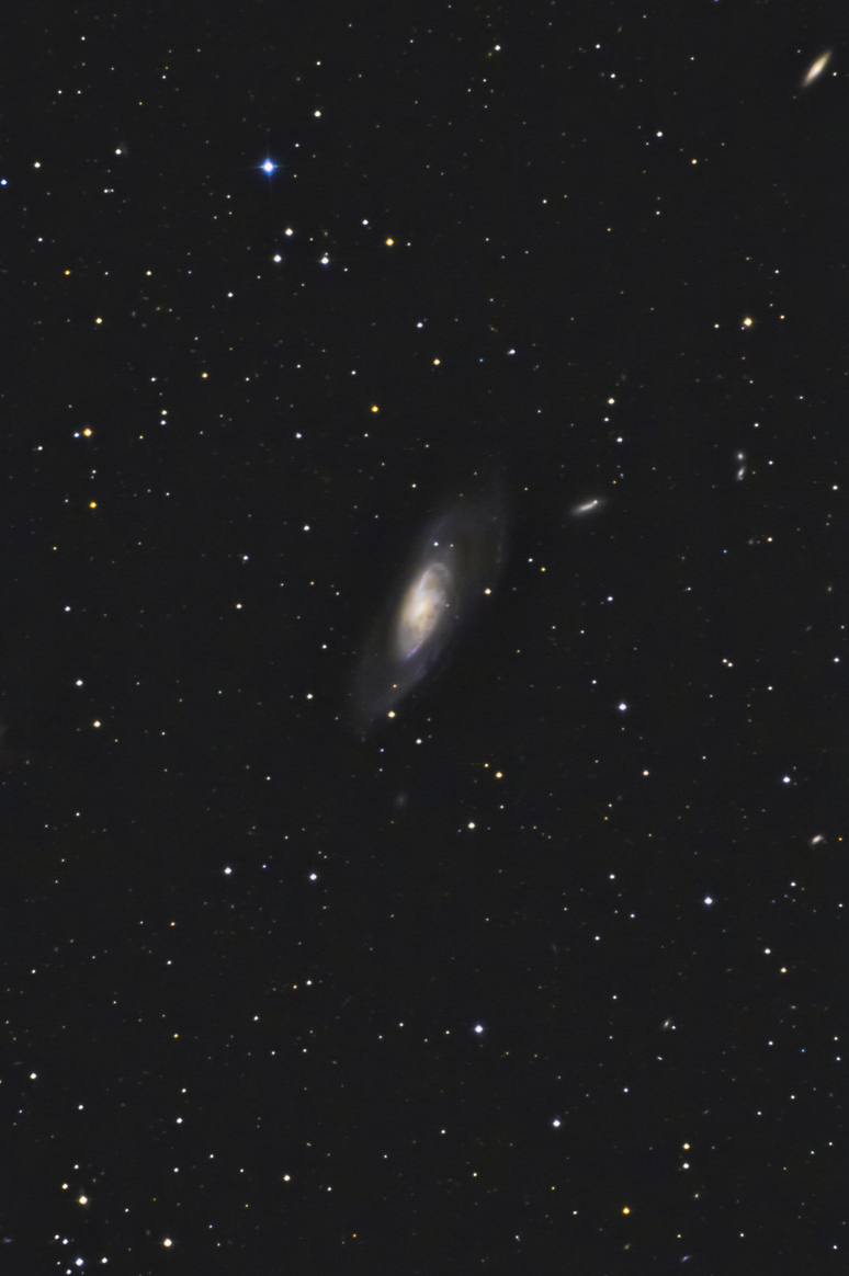 955ff104.jpg