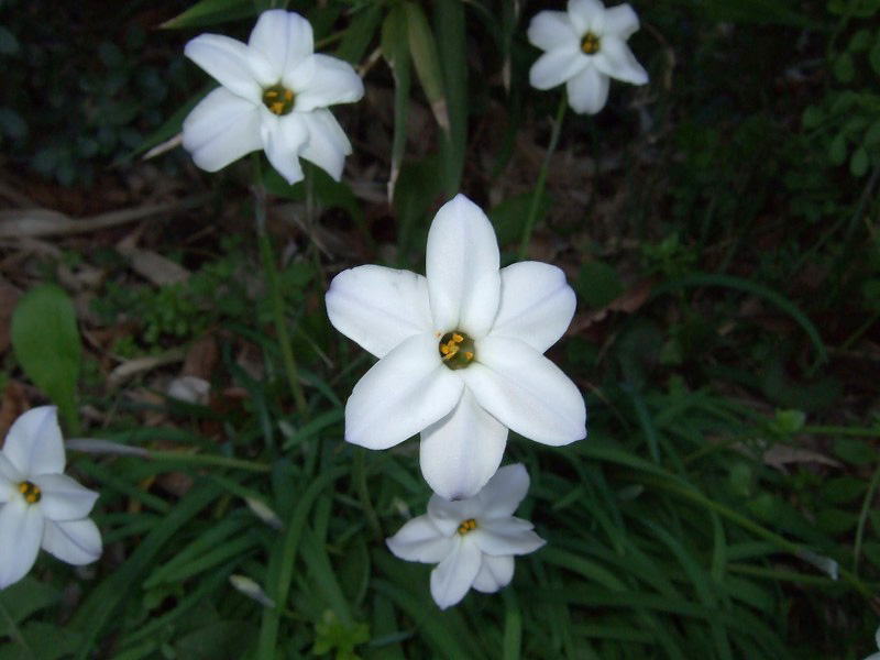 9912704a.jpg