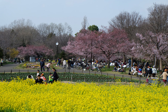 9a2f1a13.jpg