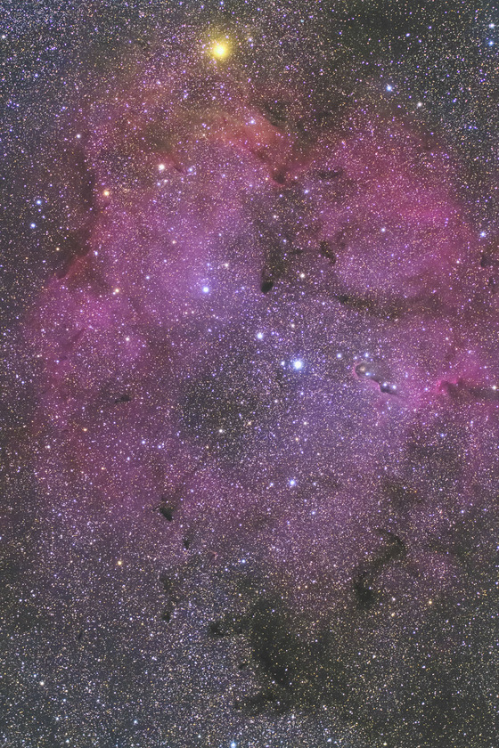 9b15e555.jpg