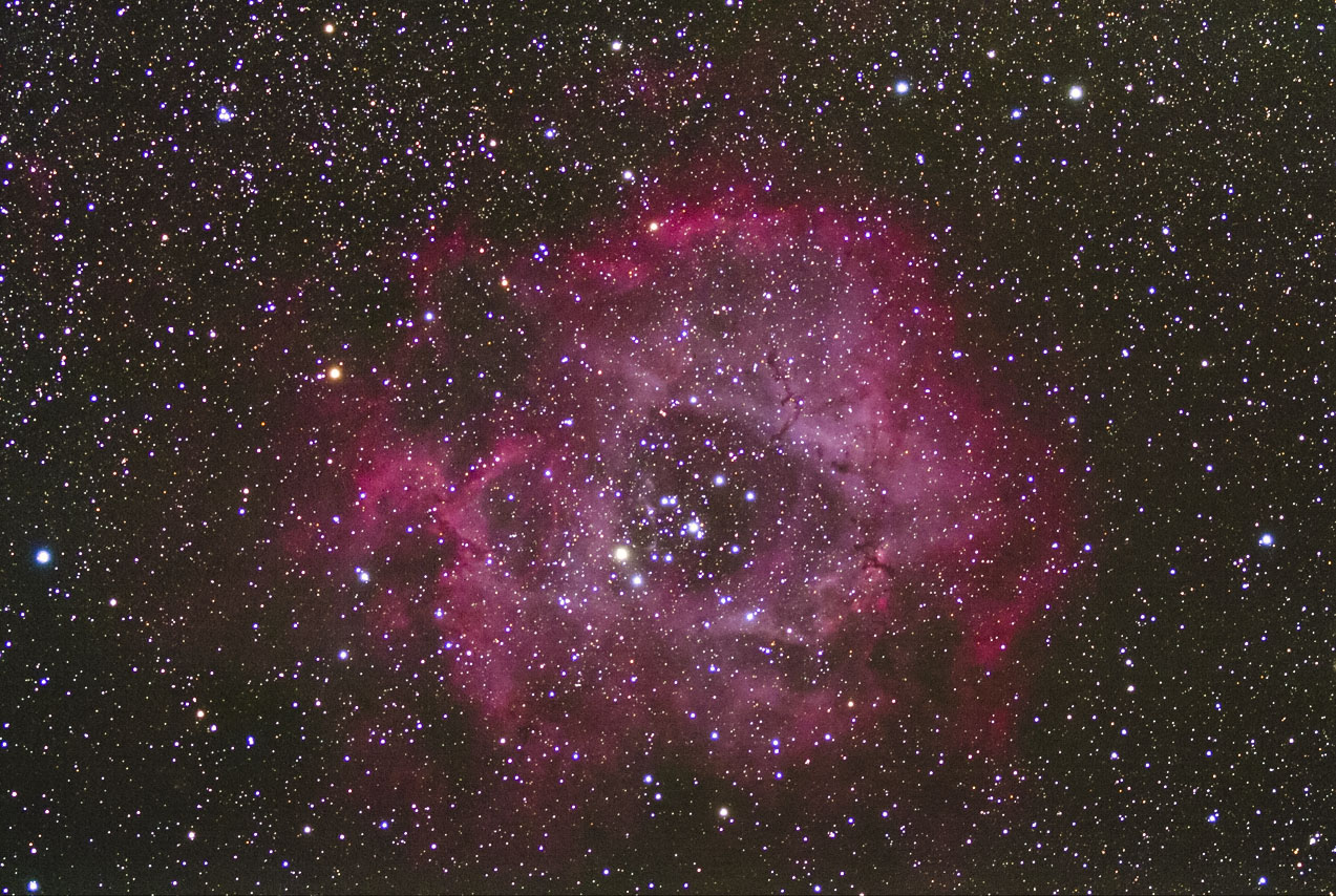 9d009a19.jpg