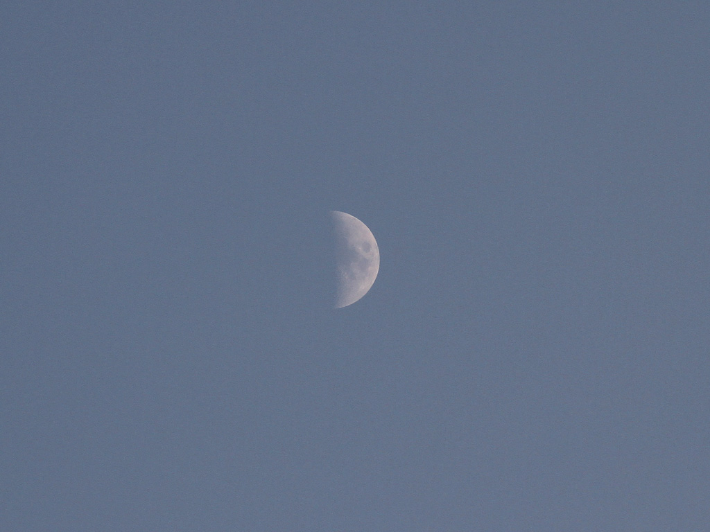 9f71042e.jpg