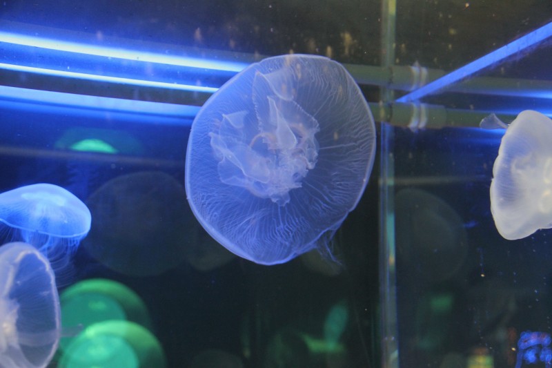 a0c094b9.jpg