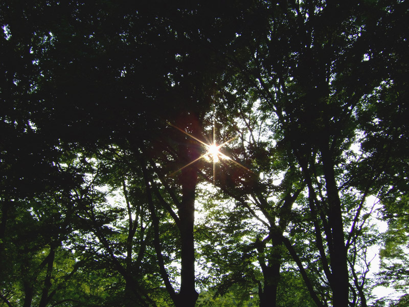 a30ec5a3.jpg